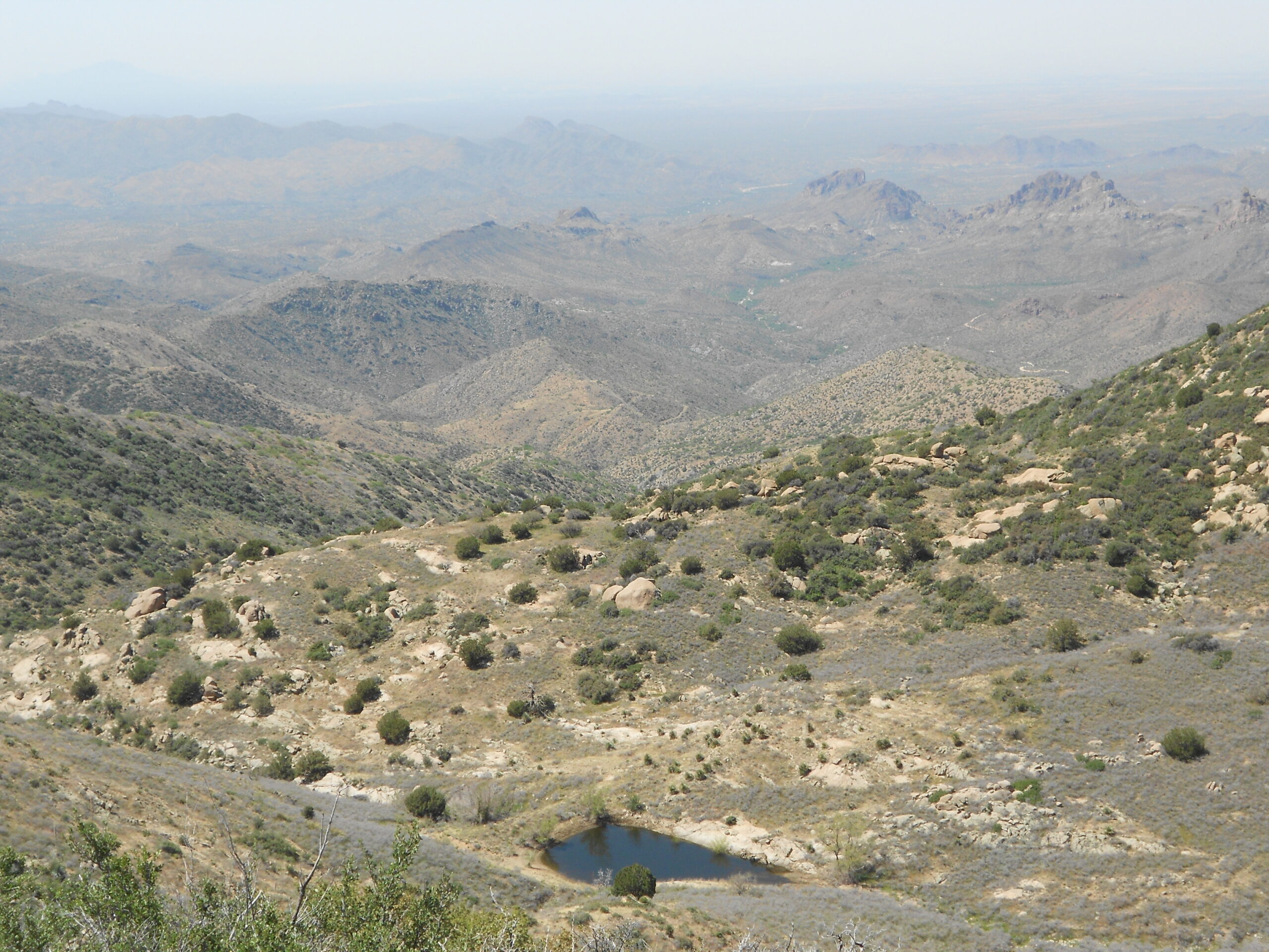 Montana Mountain Loop in the Superstitions Mtns. May 12, 2023